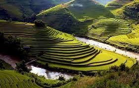 MU CANG CHAI - KHAU PHA PASS - TU LE